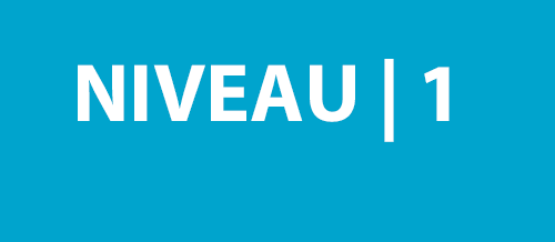 P6 | Niveau 1