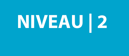 P6 | Niveau 2