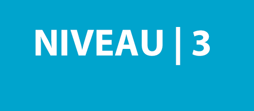 P6 | Niveau 3
